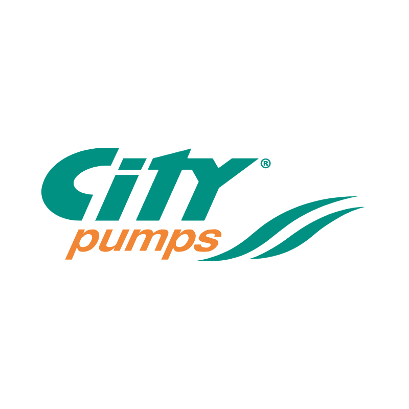 Italyan City Pumps